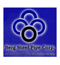 Logo Berg Steel Pipe